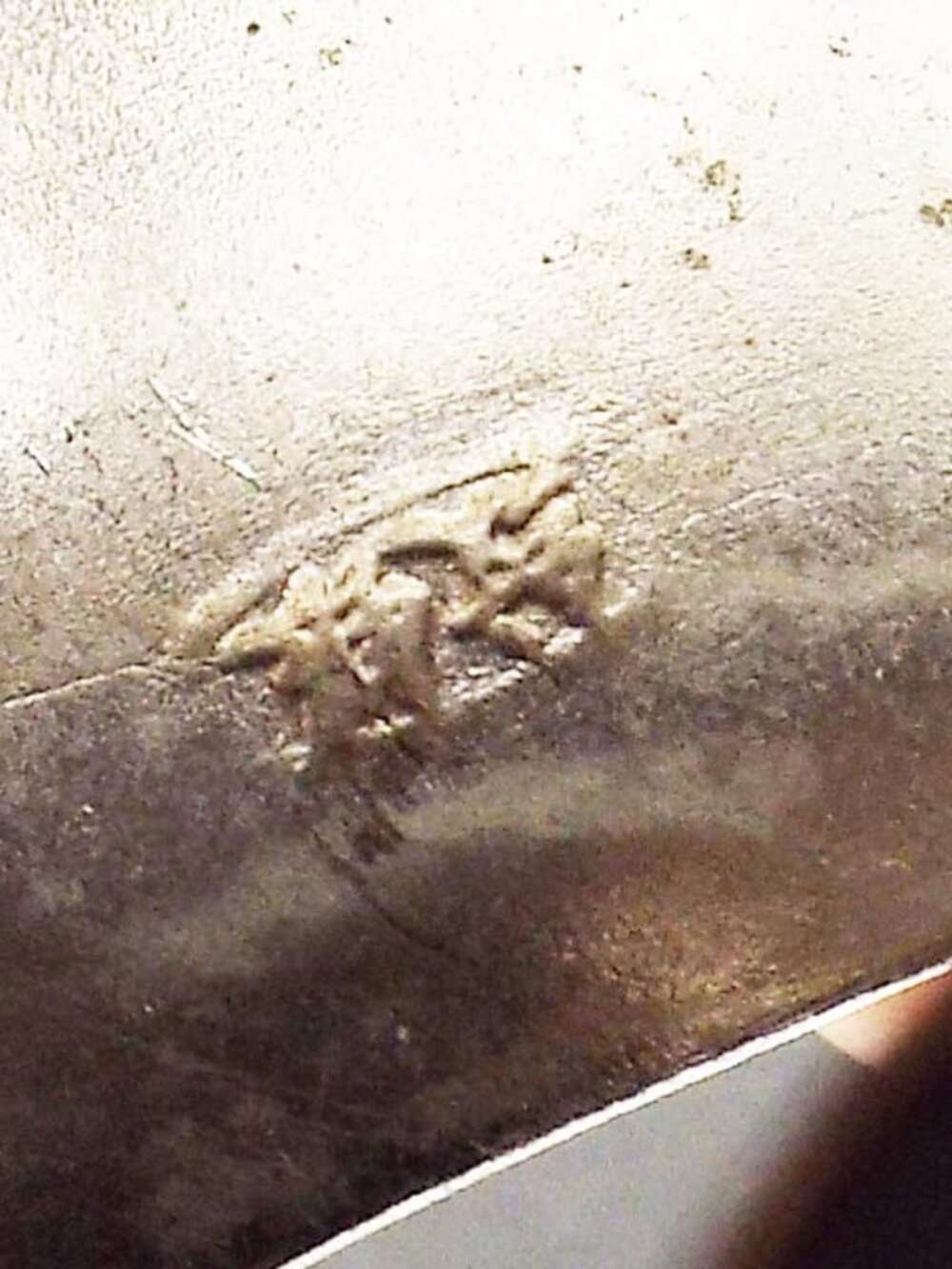 SILVERY RAISED SAFARI ELEPHANTS PARADING AROUND YOUR WRIST CUFF BRACELET 40B - Picture 7 of 7